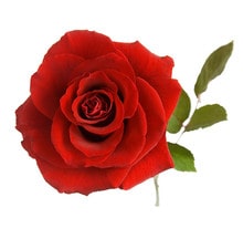 Load image into Gallery viewer, Rose Candle