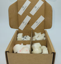 Load image into Gallery viewer, Warm Wax Melt Set
