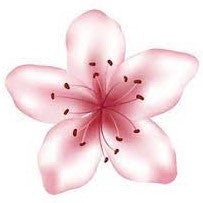 Load image into Gallery viewer, Cherry Blossom Candle